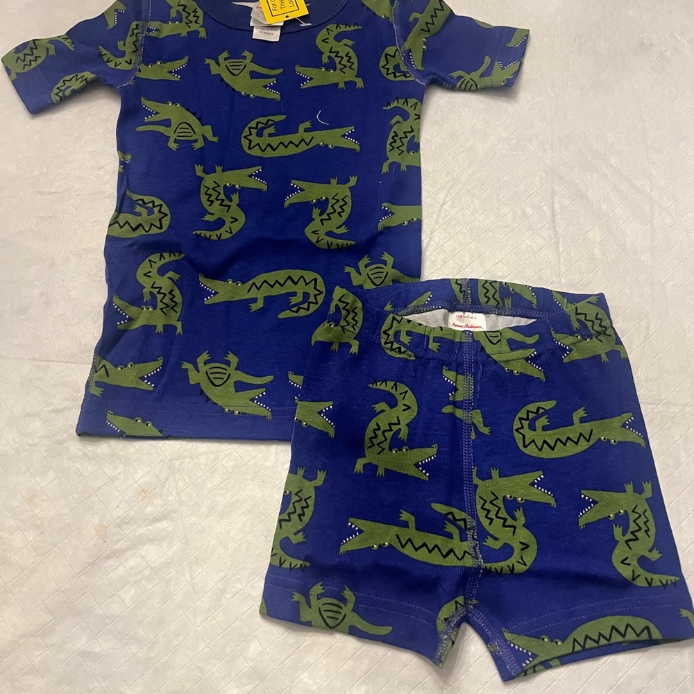 Hanna Andersson Blue and Green Alligator Pajama Set